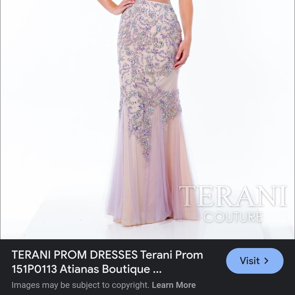 Terani Couture Elegant Dress